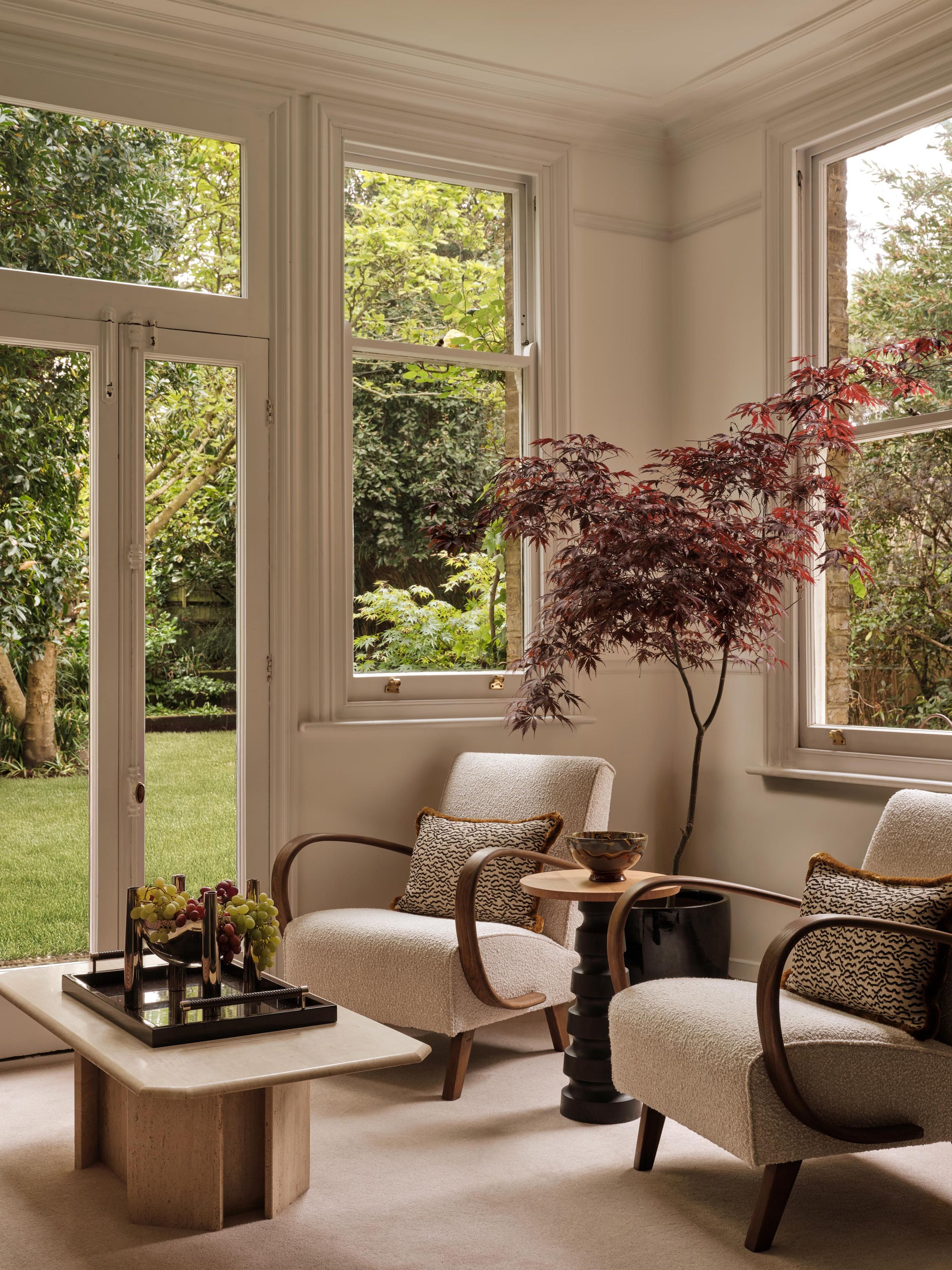 A red acer tree within the Alton House sun room
