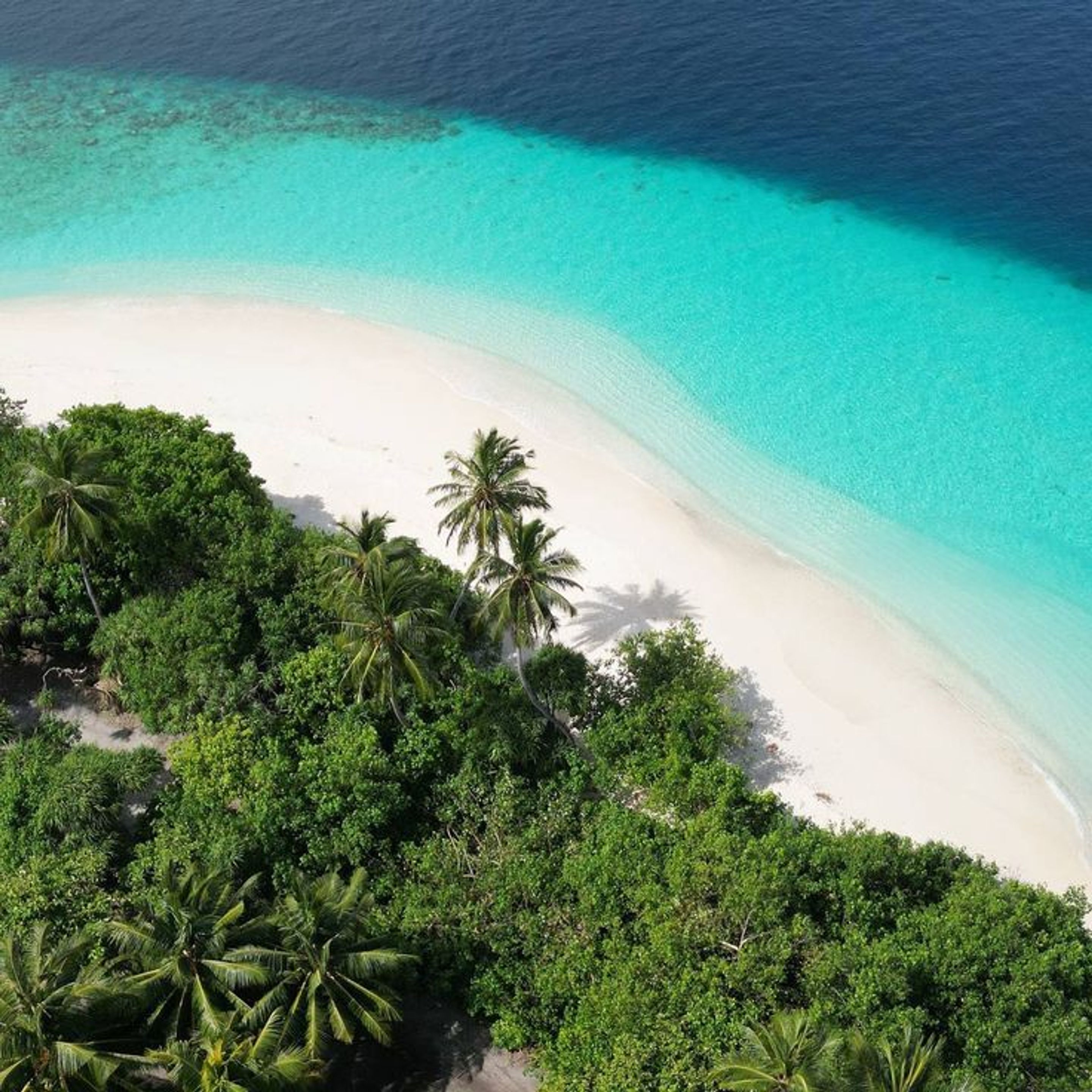 Elicyon Maldives Resort