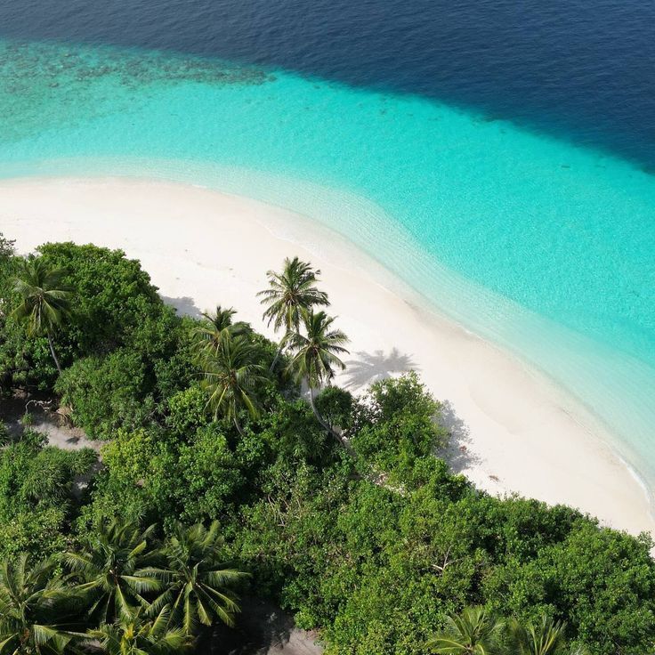 Elicyon Maldives Resort
