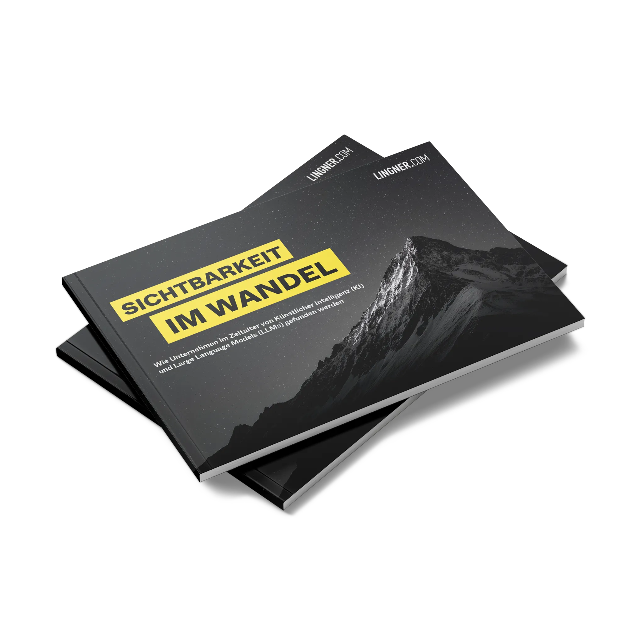 LINGNER.COM Whitepaper "Sichtbarkeit im Wandel"