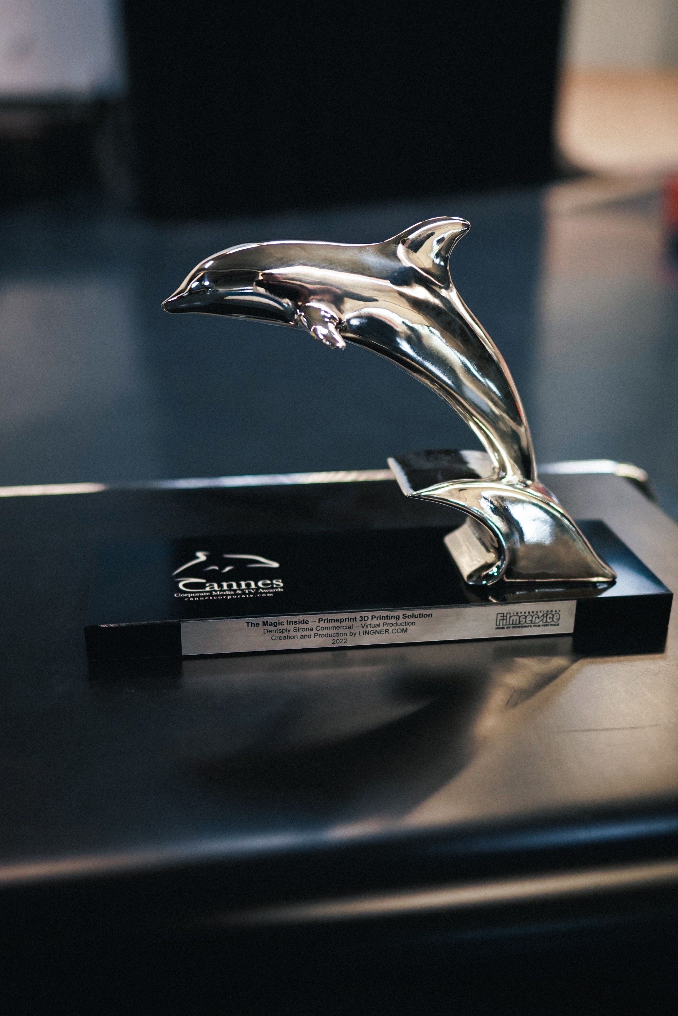 Silver Delfin Award