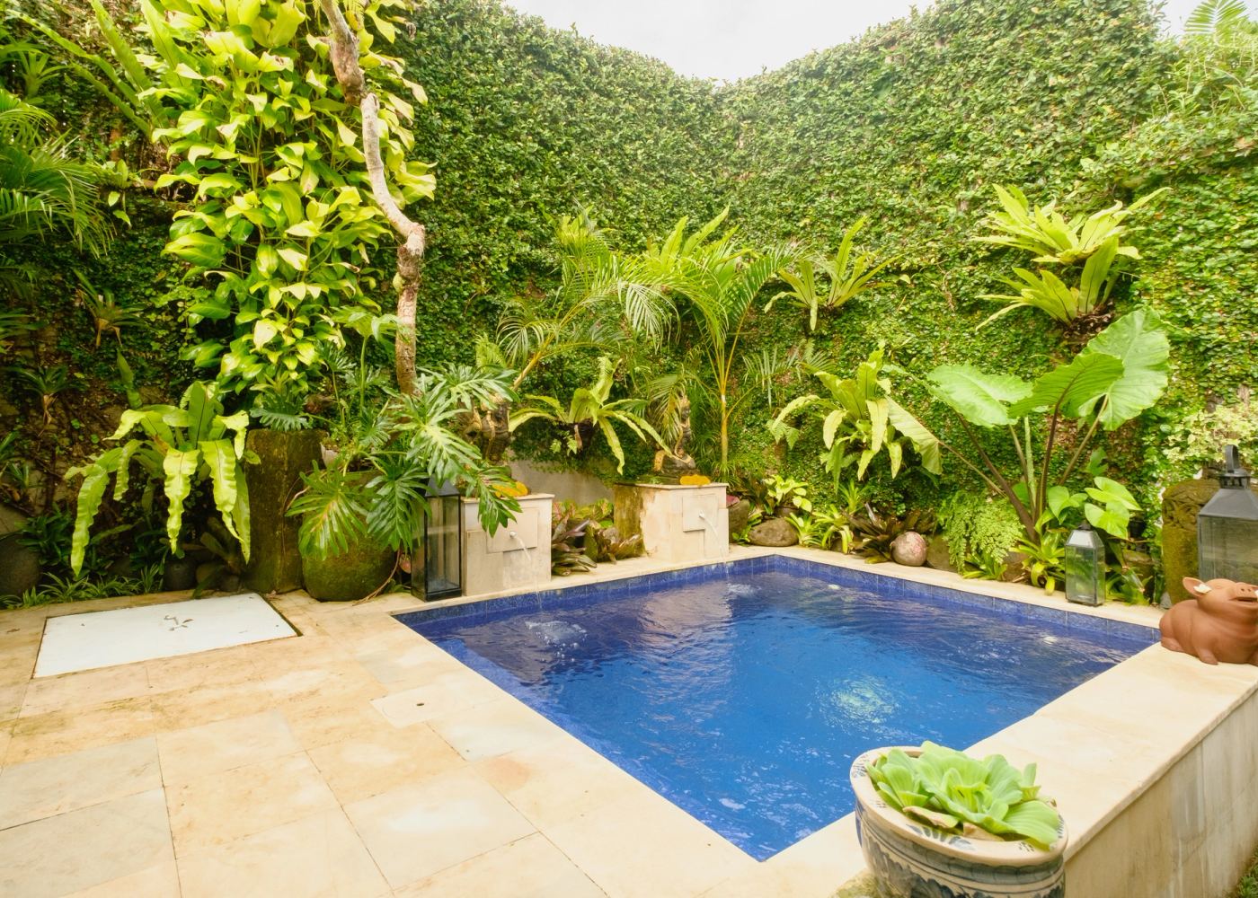 Private plunge pool framed by a green garden wall