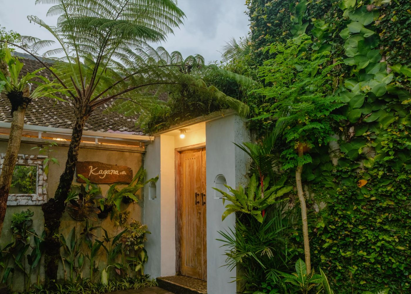 Villa entrance path lined with tree ferns