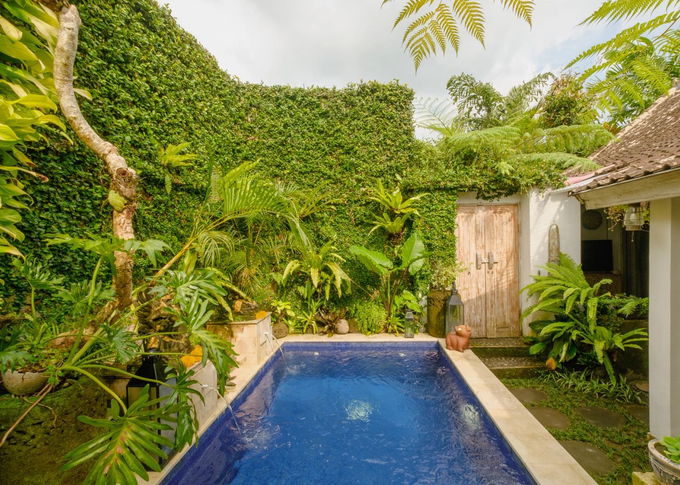Long private pool surrounded by tropical garden