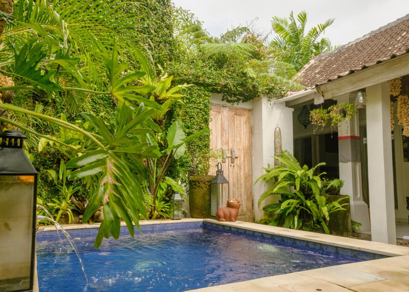 Private pool with the villa and tropical garden