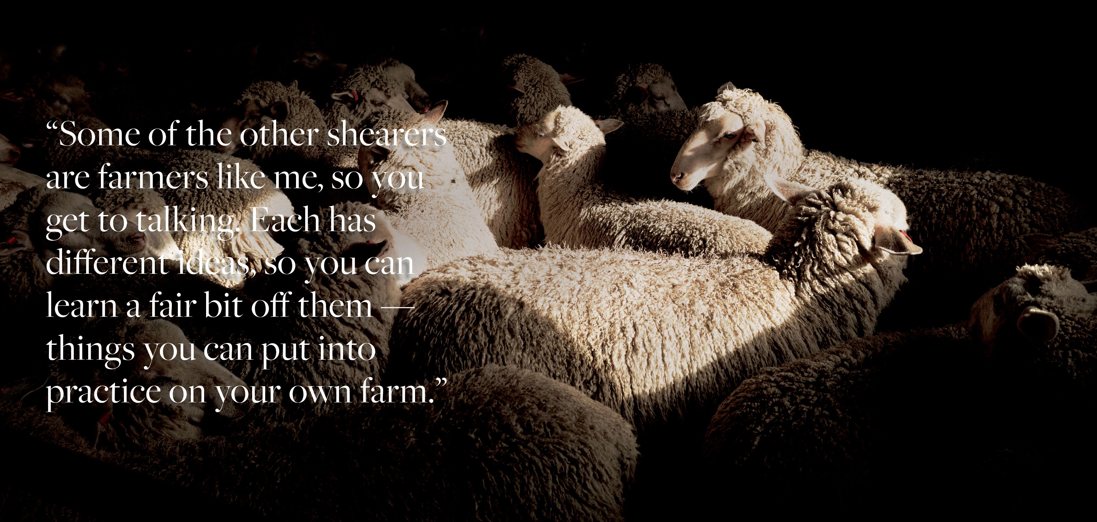 Shear grit