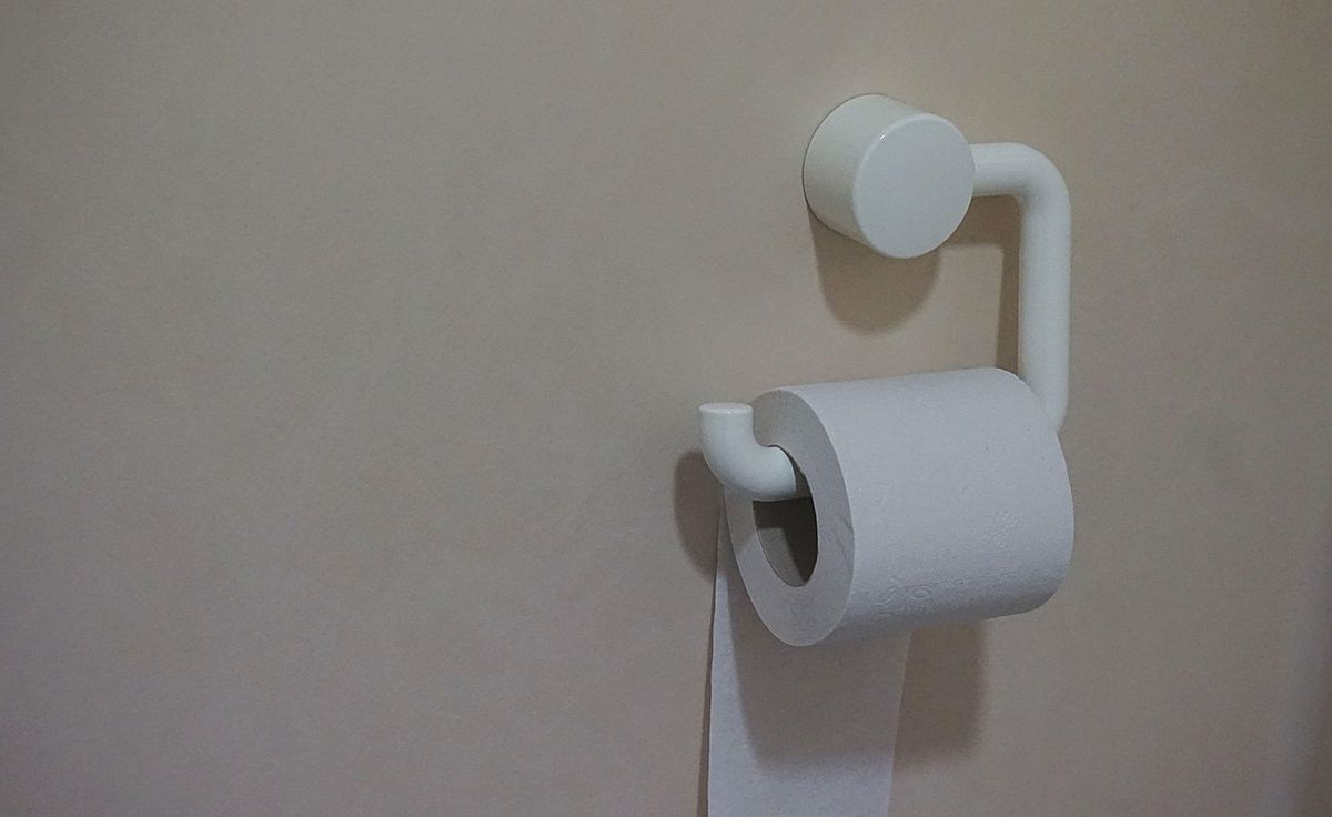 Wall-mounted toilet roll holder with a roll of paper