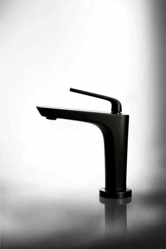 Danora Basin Mixer