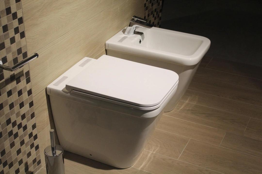Bidet Toilets Explained: What They Are, Types & How to Use One