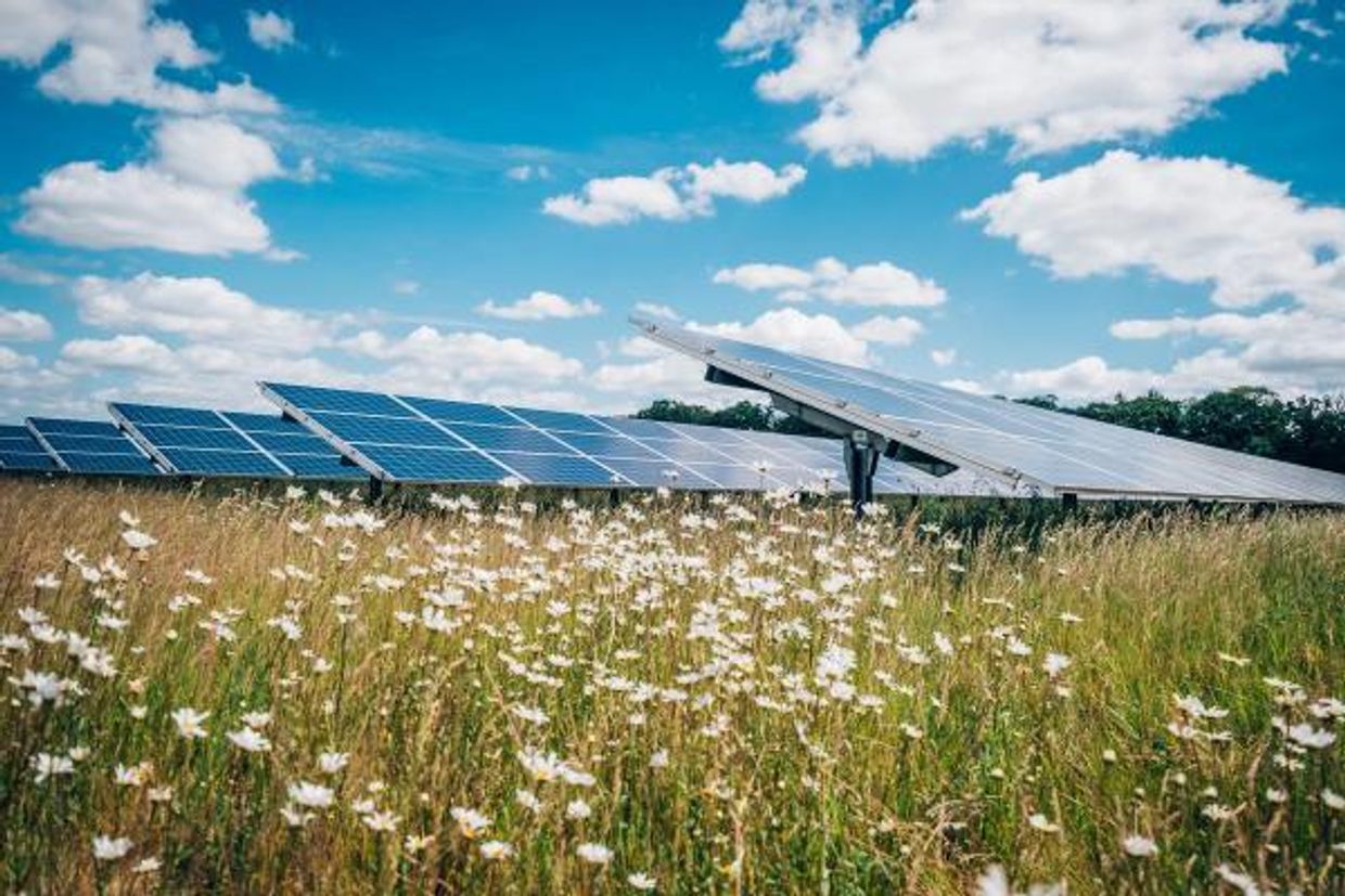 LacockSolarFarm