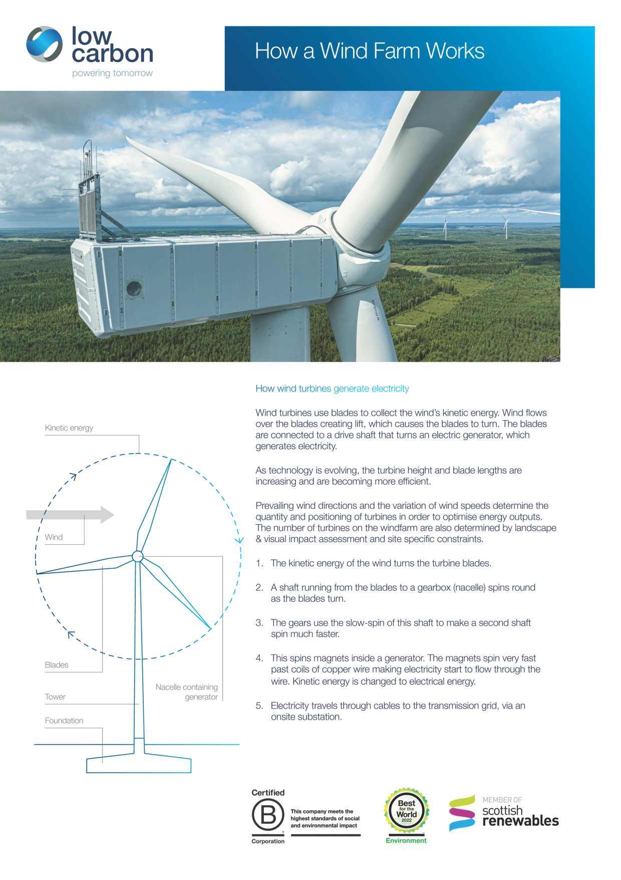 How a Wind Farm works