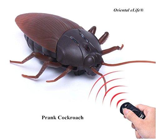 Remote Control Giant Cockroach