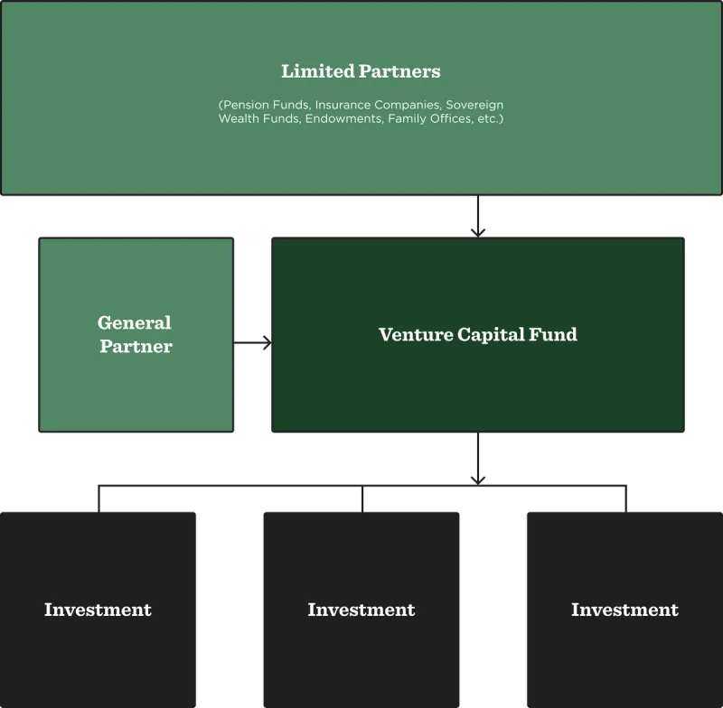 What Is Venture Capital & How It Works?