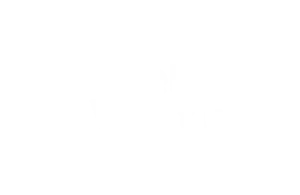 Why Fuel Ventures chose Visible as their source of truth for portfolio monitoring and reporting
