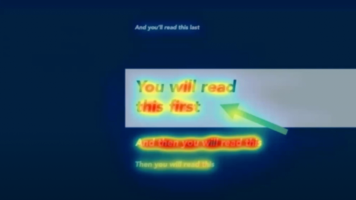 Visual Cortex Processing