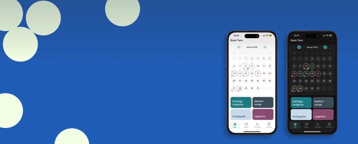 Preview image published by braintwin.no