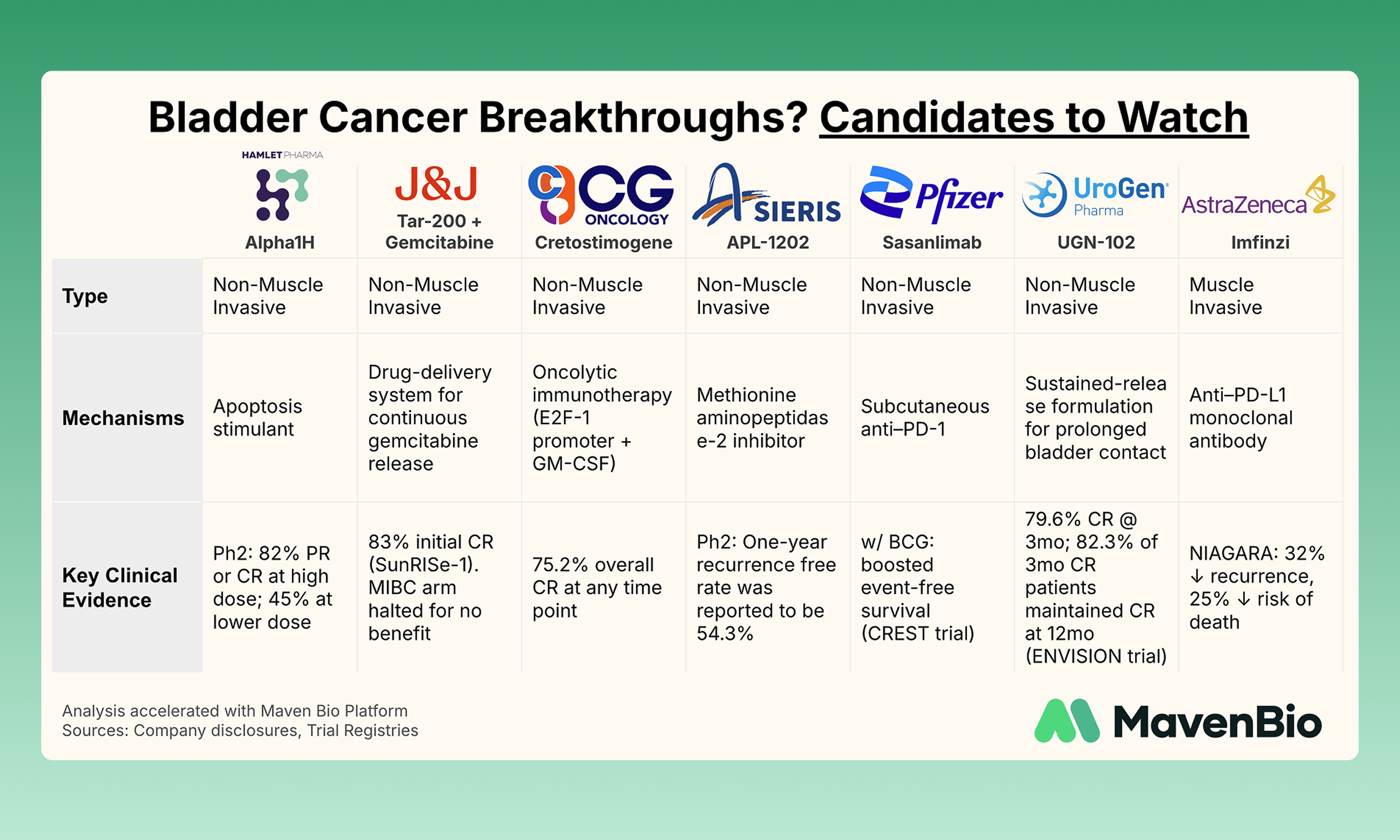 Bladder Cancer: Emerging Therapies and Key Areas to Watch - Maven Bio ...