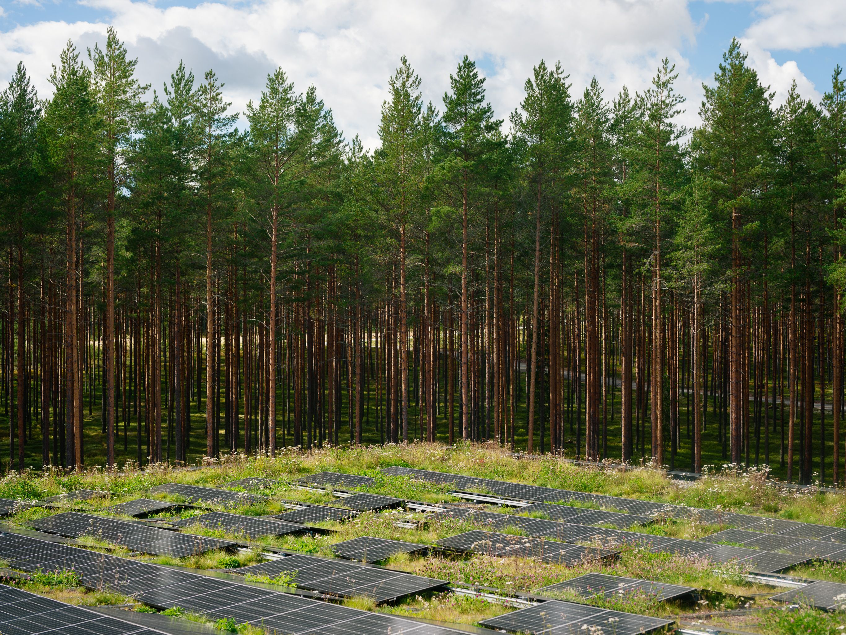 Taket er dekket med solceller. 
