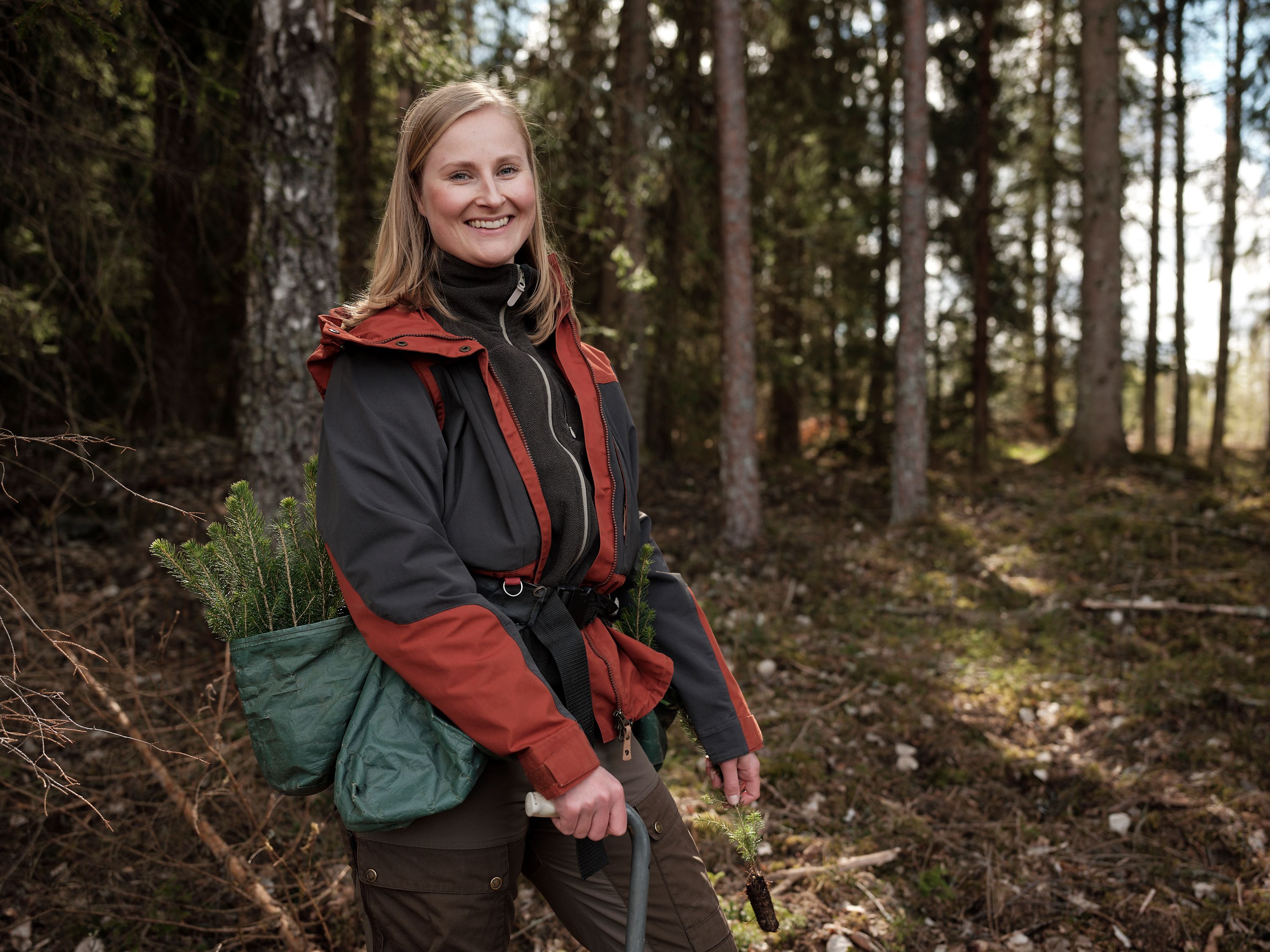 Et av verdens mest bærekraftige skogbruk