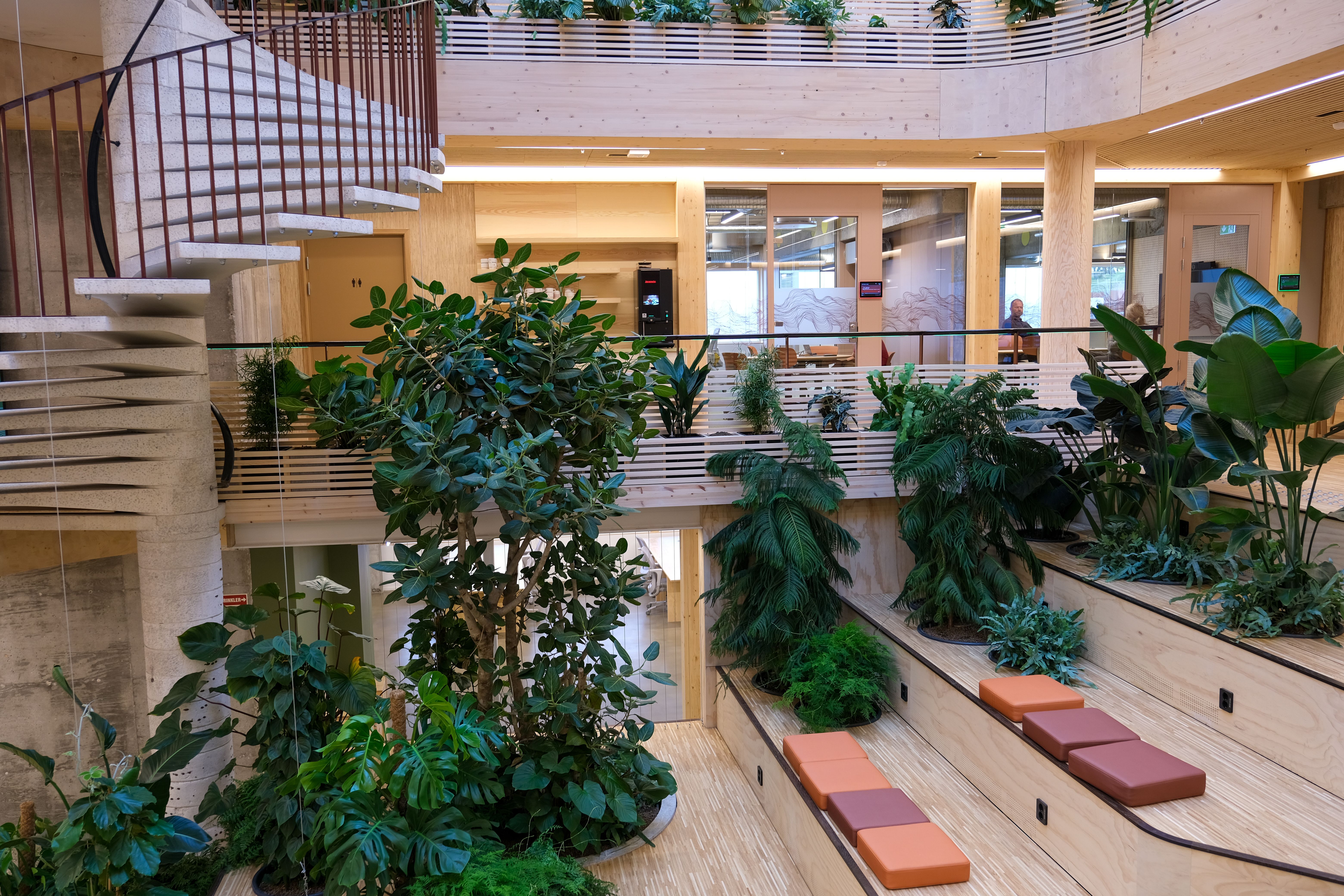 Innvendig glassoverbygd konstruksjon i massivtre.