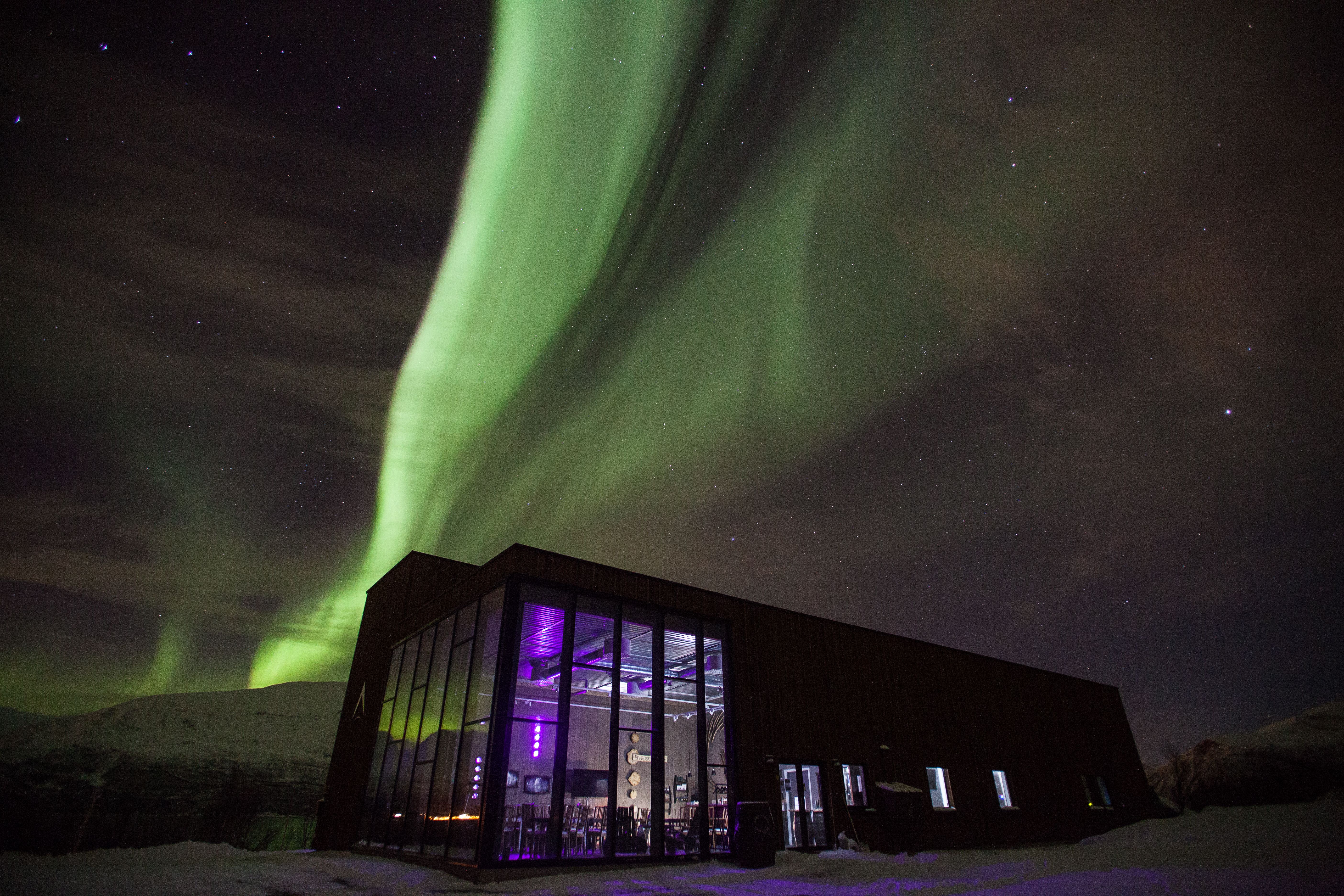 Verdens nordligste destilleri, Aurora Spirit badet i Nordlys. 