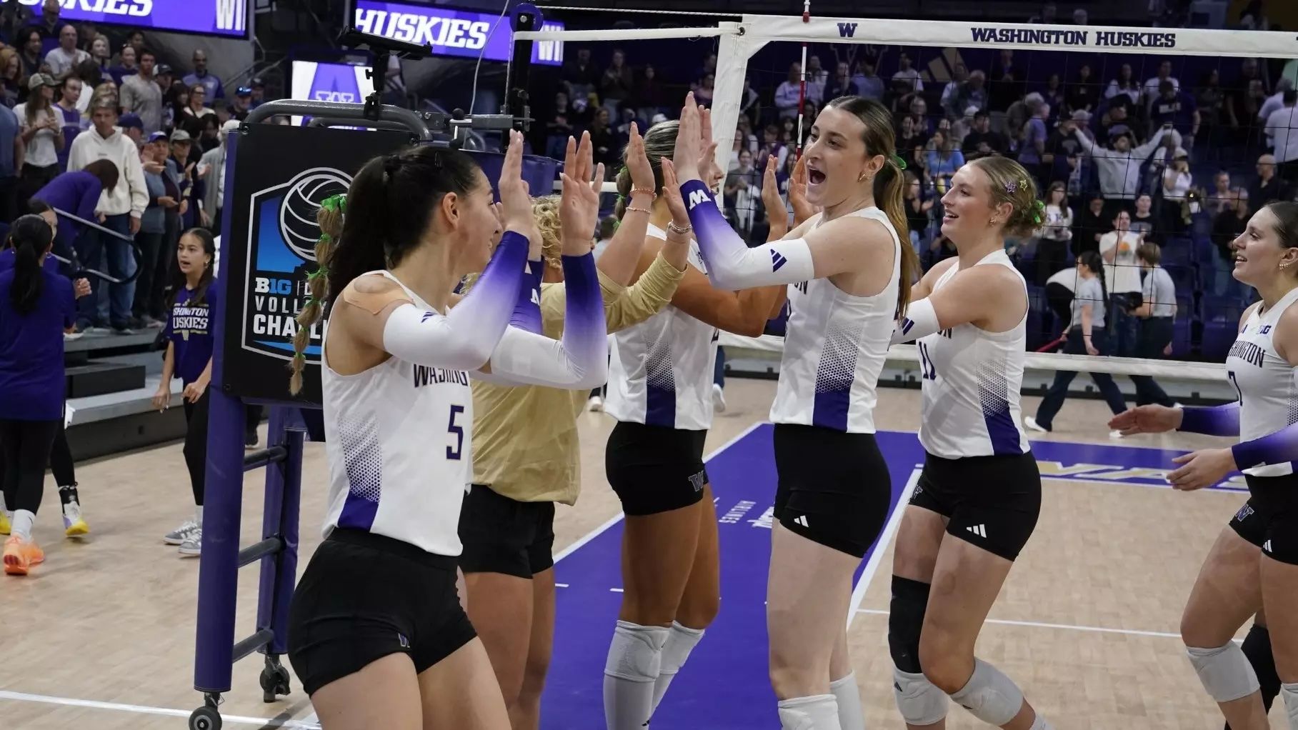 Washington celebrates defeat of No.10 Purdue