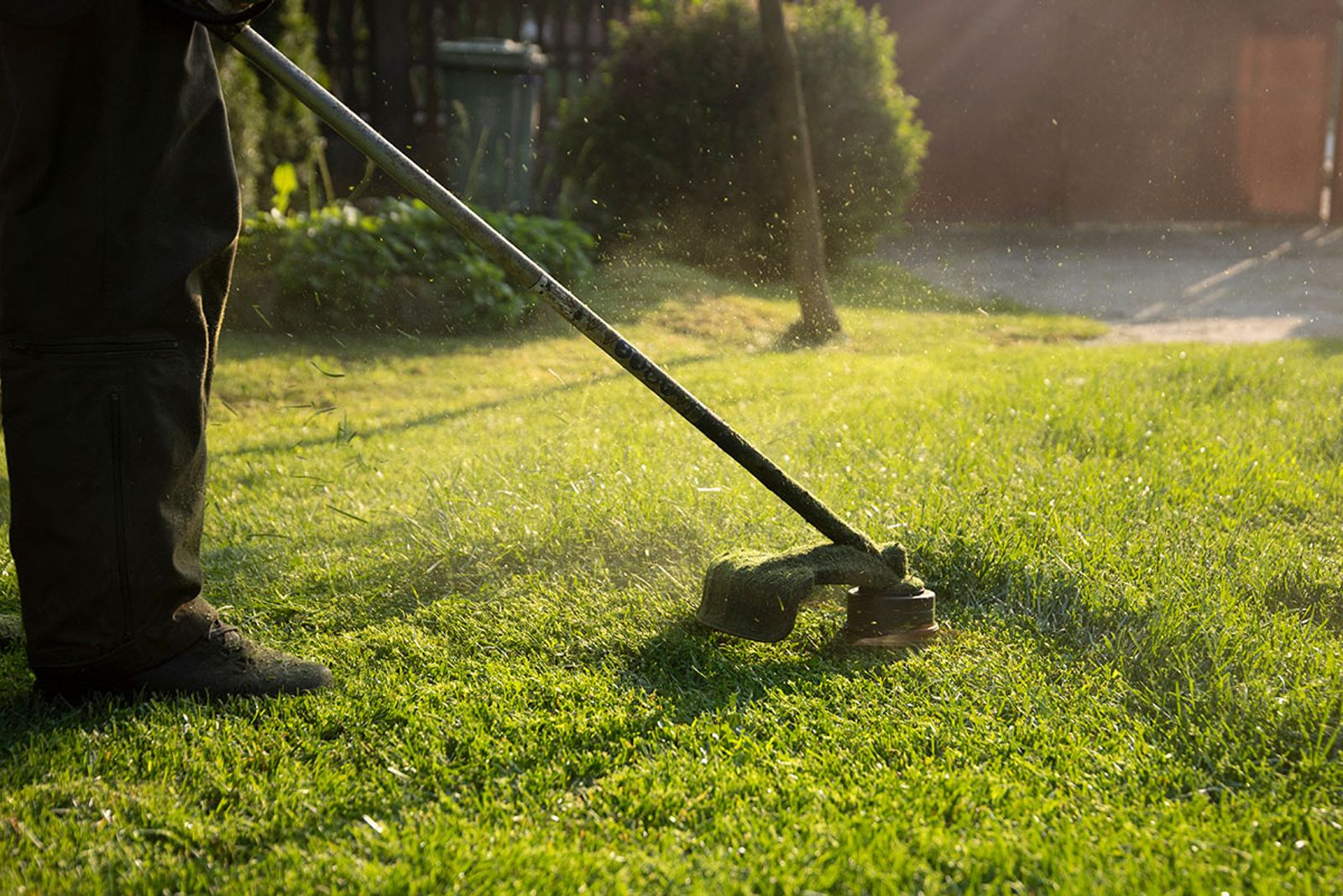 Grass Cutting: How Regular Grass Cutting Enhances Your Property's Aesthetics