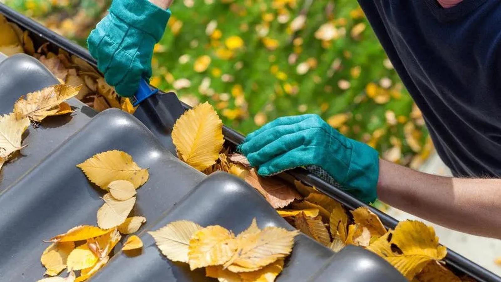 Rain Gutter Cleaning