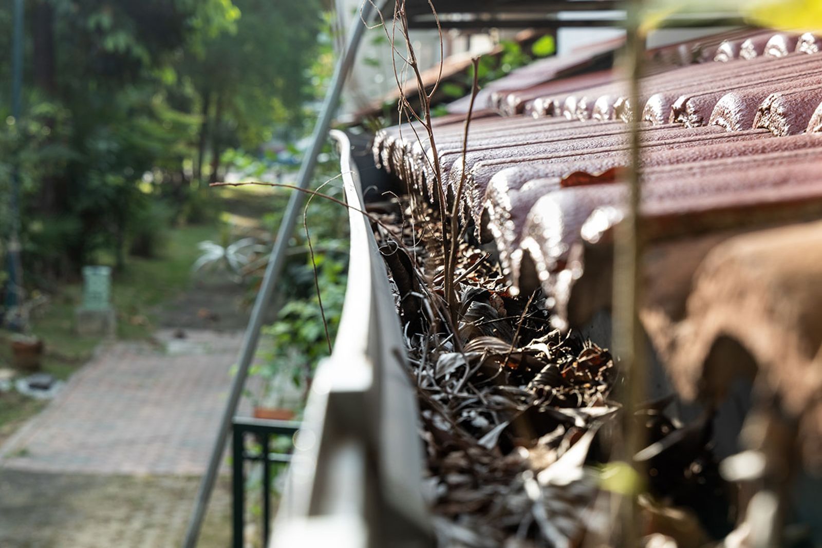 Preventing Home Damage with Regular Rain Gutter Cleaning