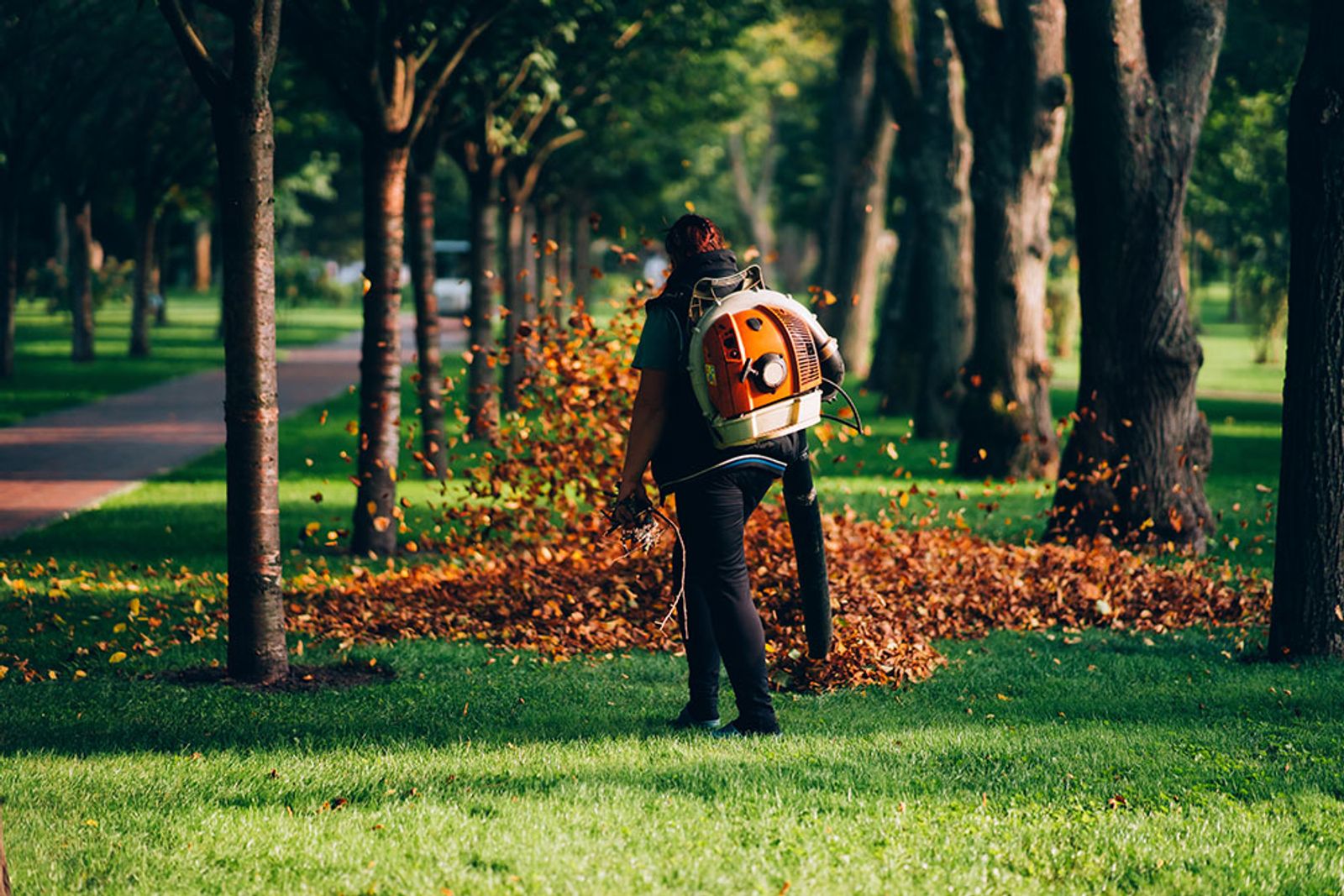 Expert Utah Lawn Care by Picture Perfect Homes