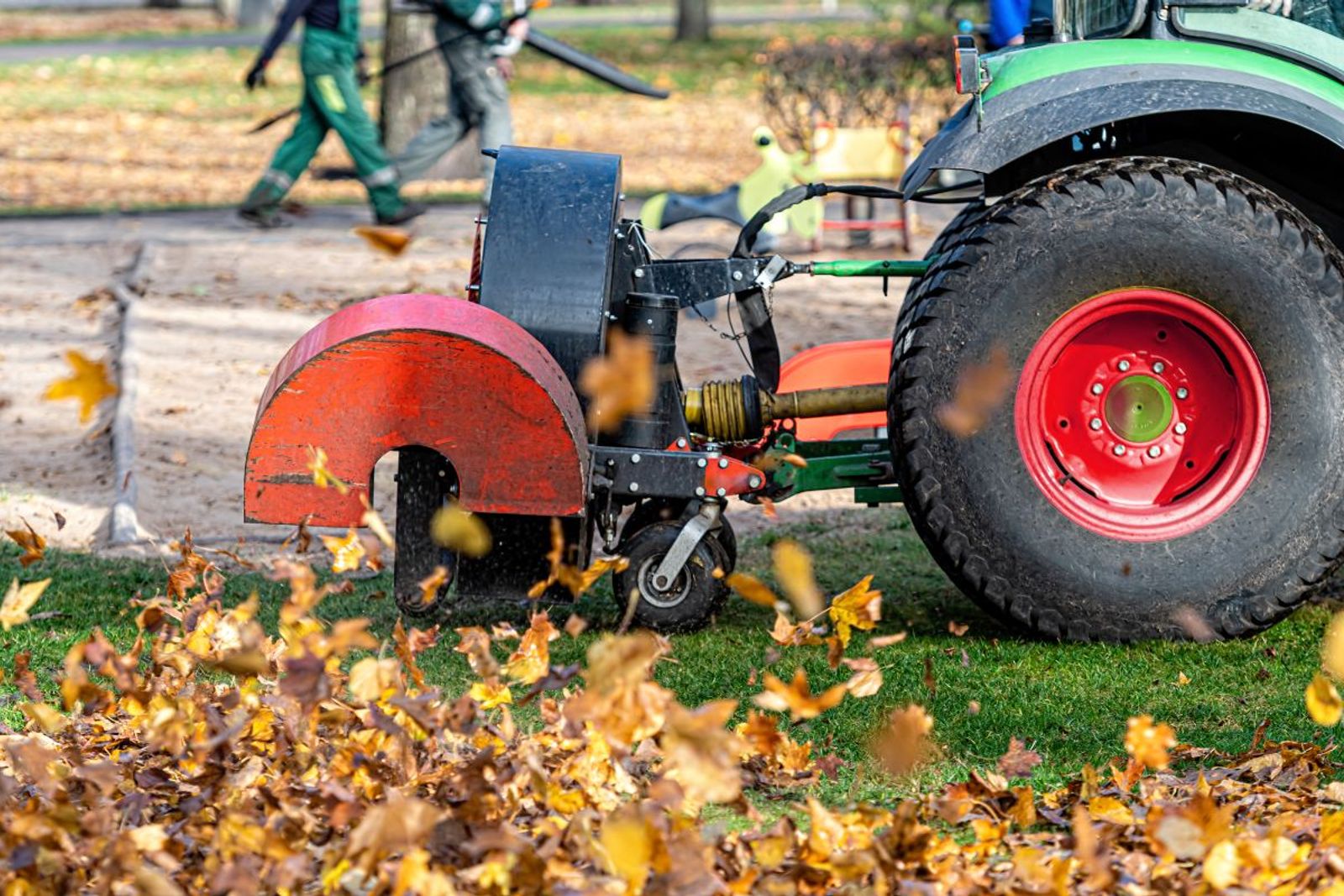Seasonal Yard Clean-Up Checklist: A Yard Care Pro's Guide