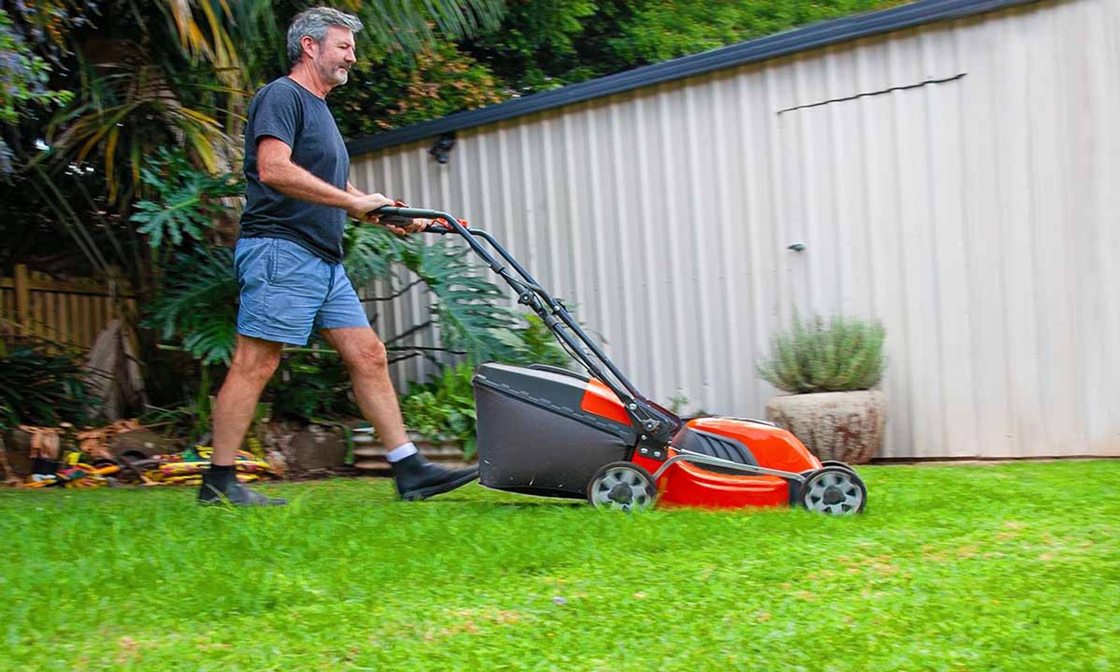 Yard Care Essentials: Keeping Your Green Spaces Vibrant All Year Round