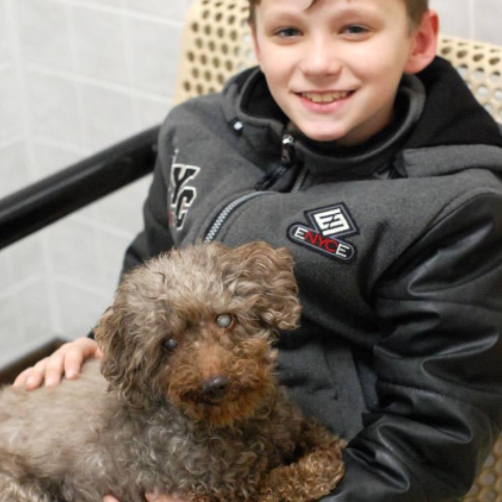 Young Boy Welcomes Elderly Dog from Shelter, Bringing Joy to His Final Days