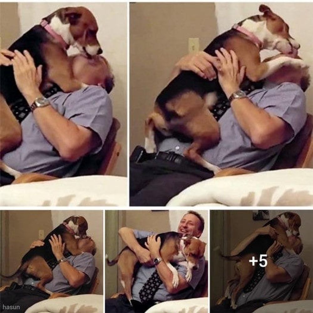 Shelter Puppy Overwhelms New Dad with Kisses After Being Rescued from Euthanasia