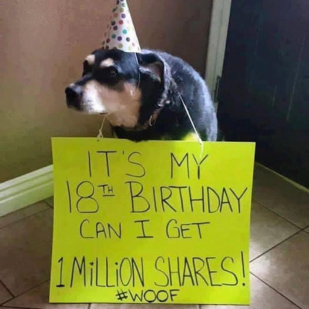 Touching Story of a Dog's Birthday: Modest Pup Hopes for 1 Million Shares as a Present