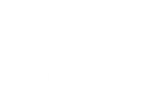 Dallas Opportunity Partners