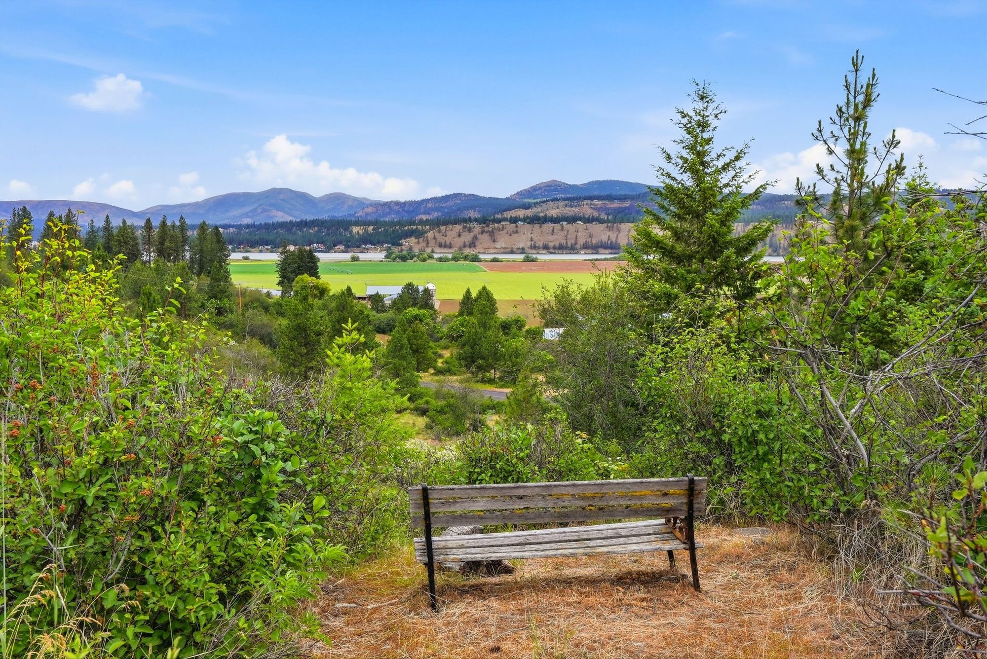 Viewpoint bench