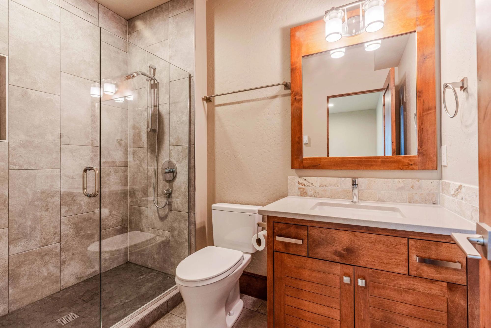 Lower level bathroom
