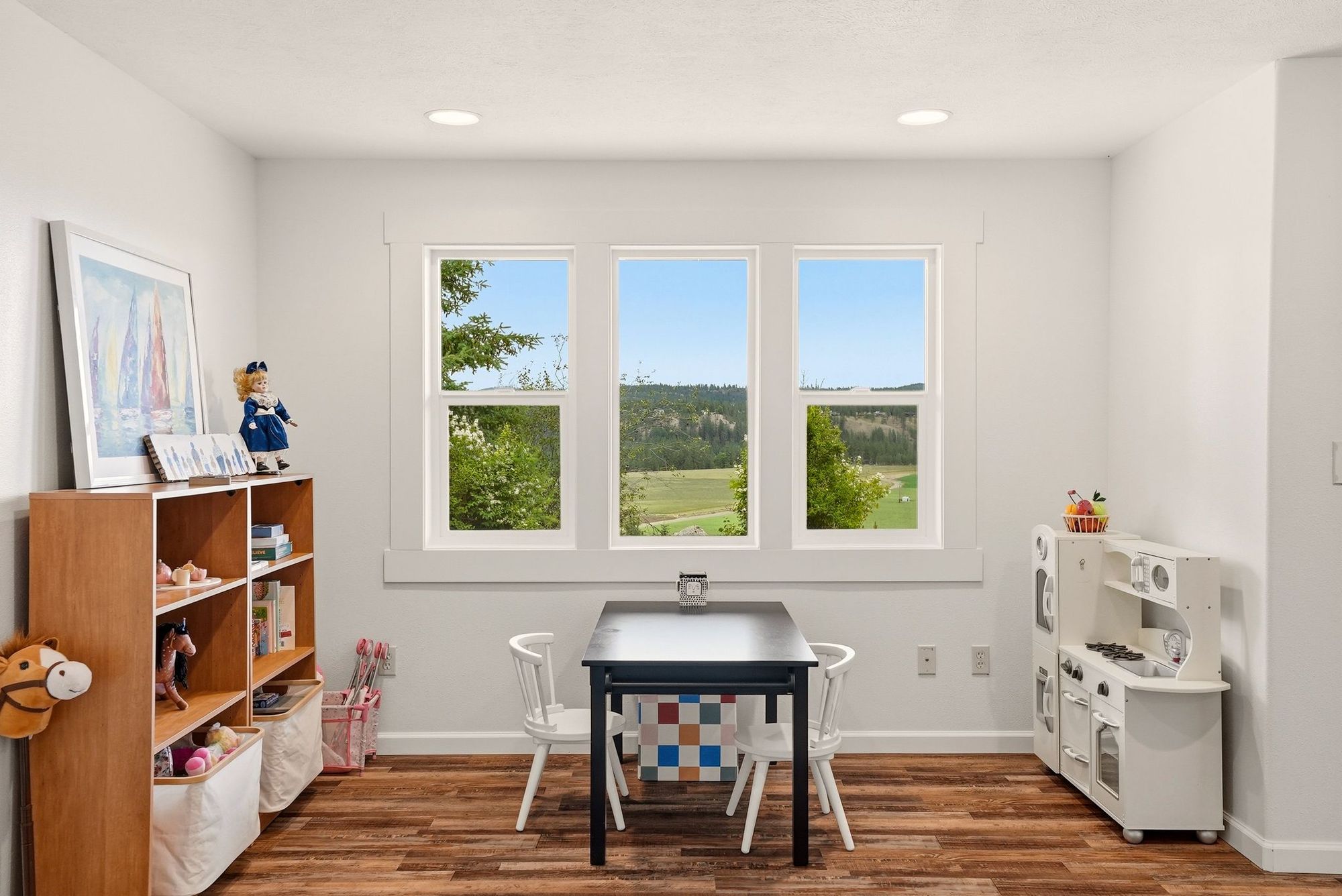 Downstairs play room
