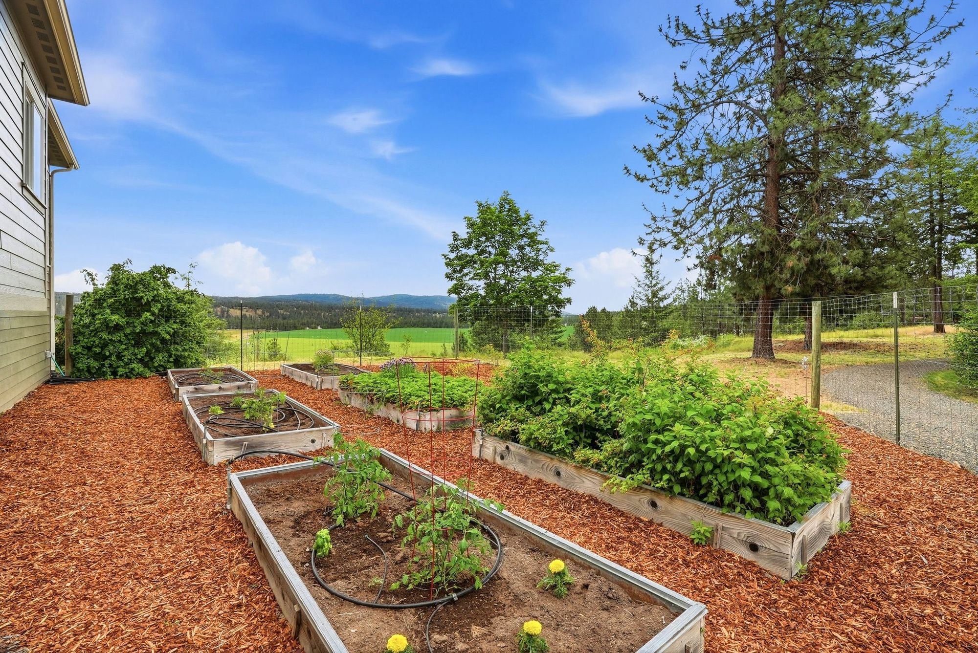 Raised garden beds