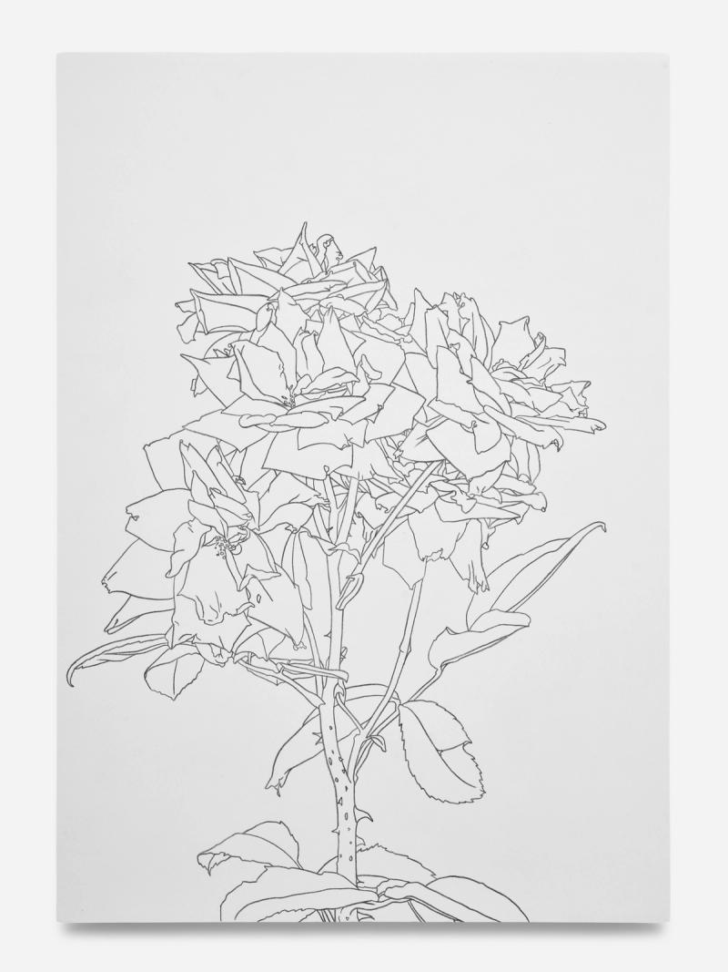 Installation view of displayed artwork titled 08.04.25