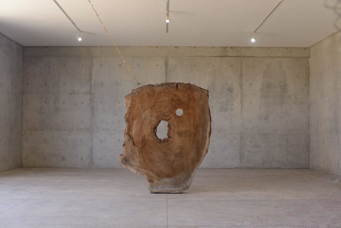 Work by Michel François