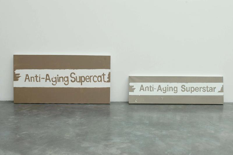 Installation view of displayed artwork titled Anti-Aging Superstar & Anti-Aging Supercat