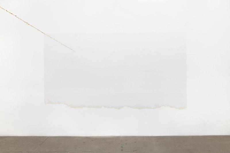 Installation view of displayed artwork titled To Tear (Wallpaper)