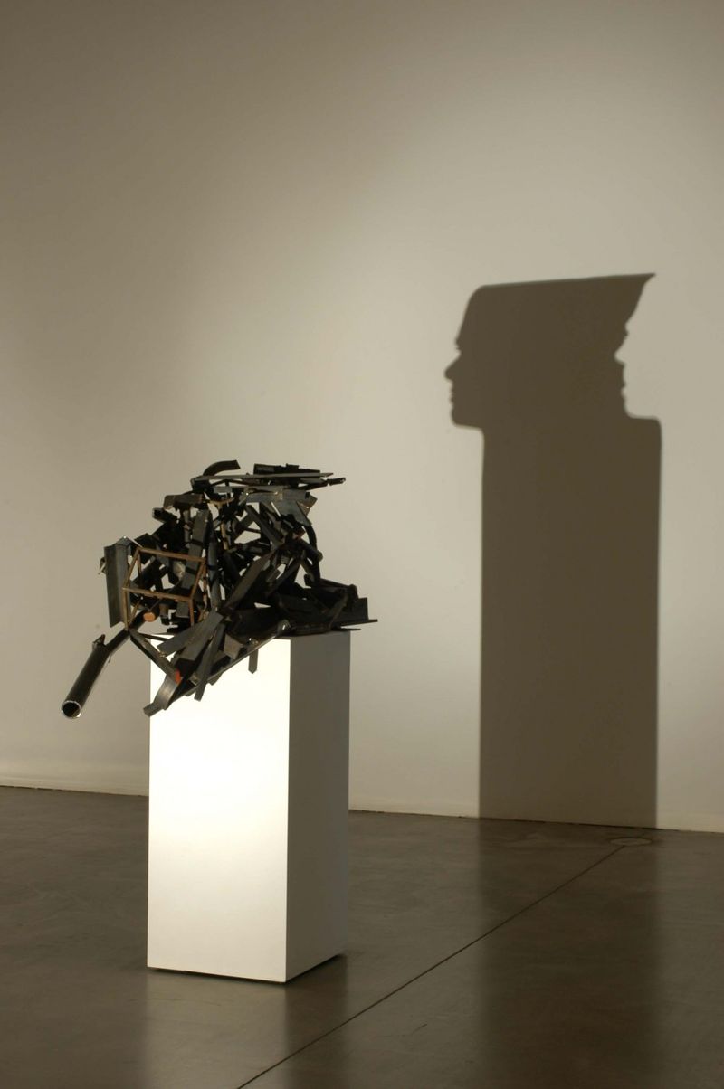 Installation view of displayed artwork titled The Negative