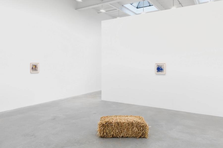 Featured Image (Installation View) of exhibtion: The Railbird