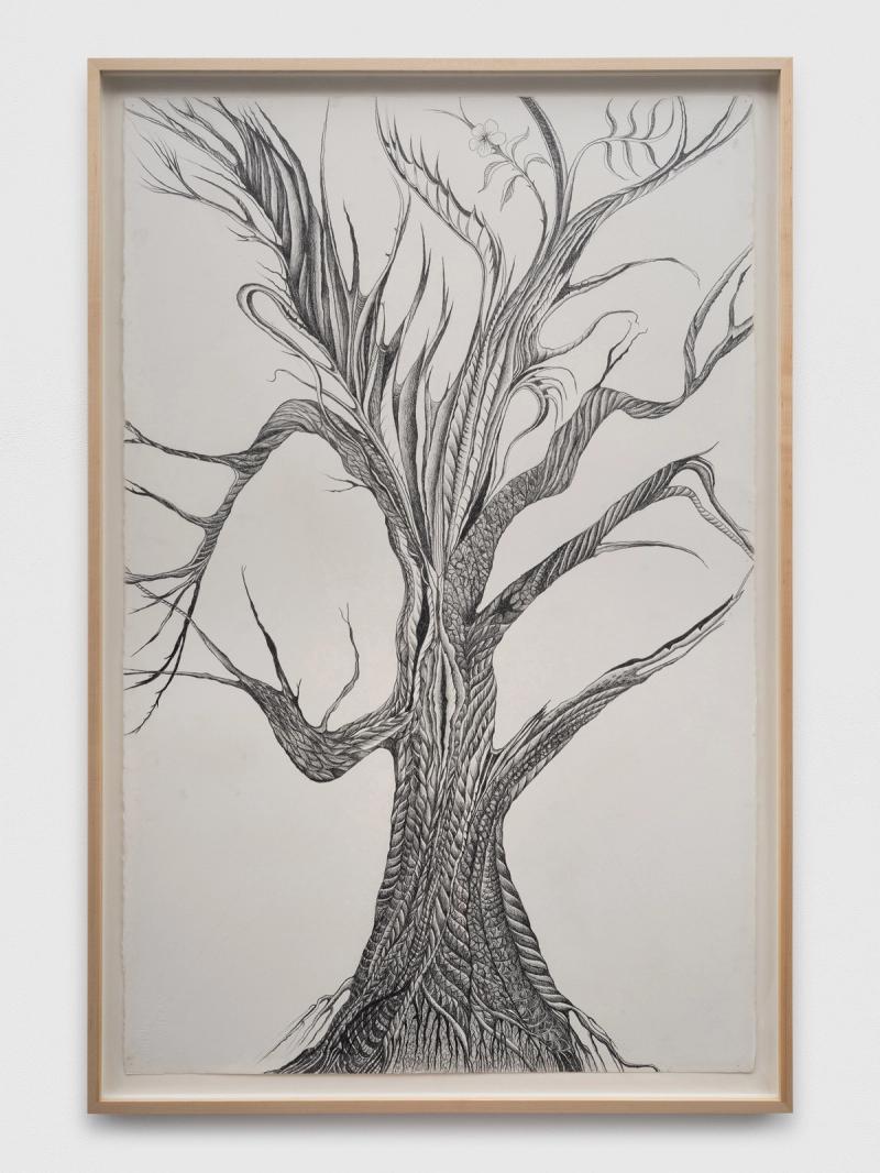 Installation view of displayed artwork titled A half-burned out apple tree blossoming