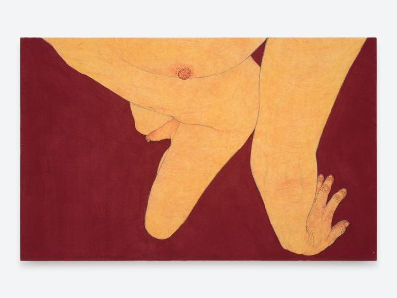 Installation view of displayed artwork titled Body Cartography: Quinacridone Magenta 1