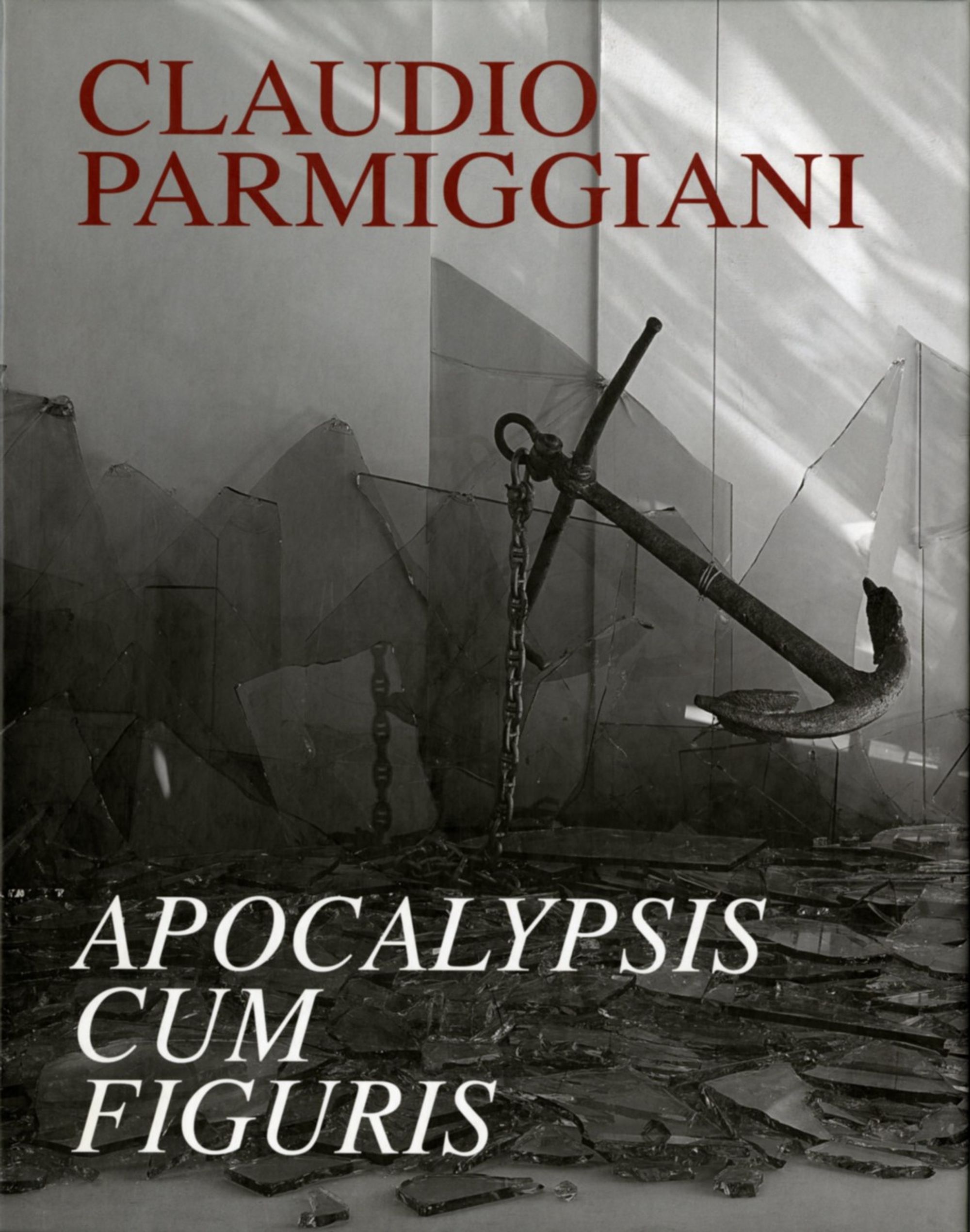 Detail view of Claudio Parmiggiani: Apocalypsis cum Figuris against a plain gray background
