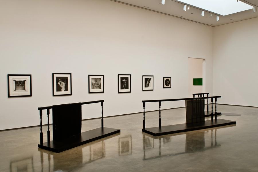 Featured Image (Installation View) of exhibtion: Consider the Lobster